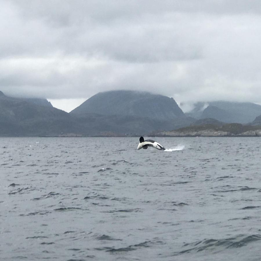 Fishermans Rorbu 2 - Lofoten Ramberg Buitenkant foto